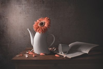 Orange Daisy and Broken Teapot by Margareth Perfoncio