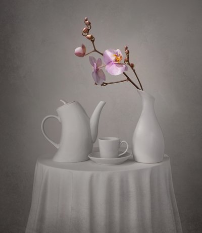 Pink Orchid Tea Time by Margareth Perfoncio
