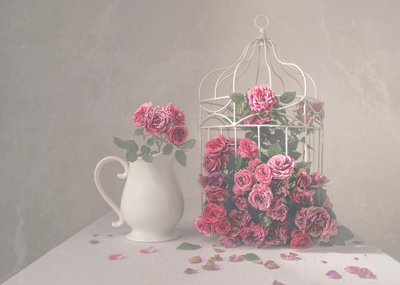 Roses and Birdcage by Margareth Perfoncio