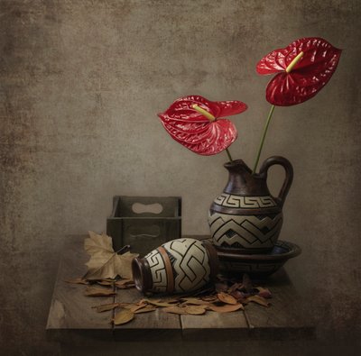 Rustic Anthurium Still Life by Margareth Perfoncio
