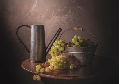Vintage Grape Harvest by Margareth Perfoncio