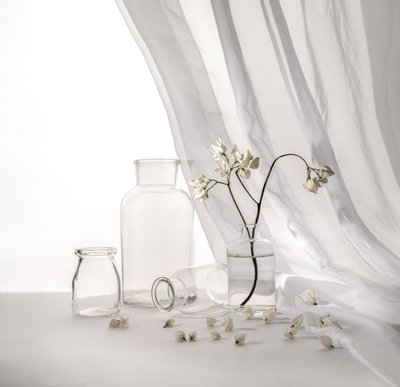 White Floral Still Life by Margareth Perfoncio