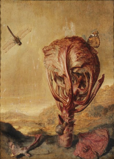 A Red Cabbage, a Snail, a Butterfly, a Dragonfly, a Bee and a Wood Louse in a Landscape by Margarethe de Heer