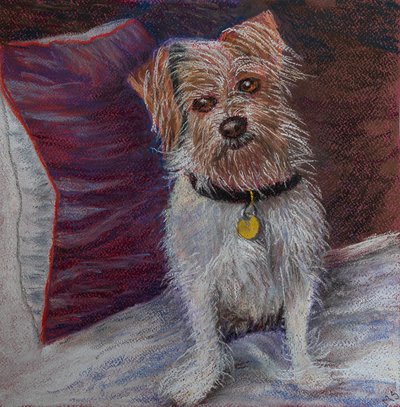 My little dog on silk cushion by Margo Starkey