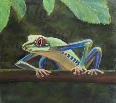 Tree frog. by Margo Starkey