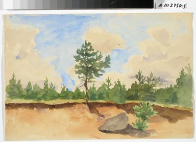 Landscape Study, Sandpit by Maria Wiik