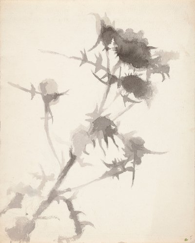 Thistles by Maria Wiik