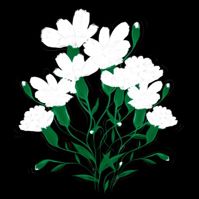 White Carnations, 2020 by Marianna Kulukundis