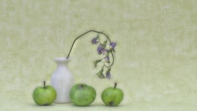 Delicate Botanical Still Life by Marie-anne Stas