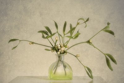 Mistletoe Berries In Vase by Marie-anne Stas
