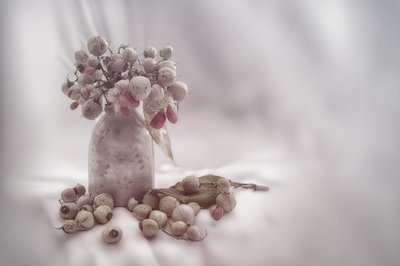 Soft Berry Still Life by Marie-anne Stas