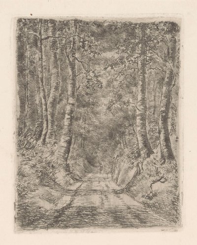 Forest Along a Hollow Road by Marie Adolphine van der Goes van Dirxland