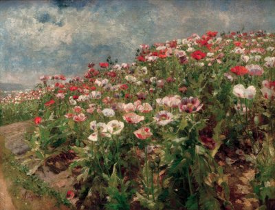 Blooming Poppies, Motif from St. Georgen near Melk by Marie Egner