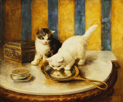 Feline Reflections by Marie Yvonne Laur
