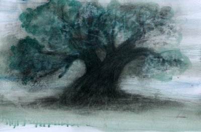Olive Tree by Marina Falco