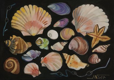 Colorful Ocean Shells by Marina Gorkaeva