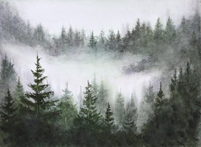 Misty Forest Serenity by Marina Kozyr