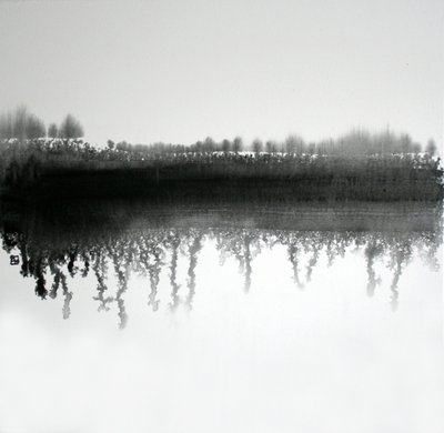 Monochrome Forest Reflection by Marina Nelson