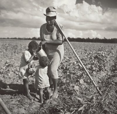 Black Woman Giving Her Children a Drink in the Field Where She