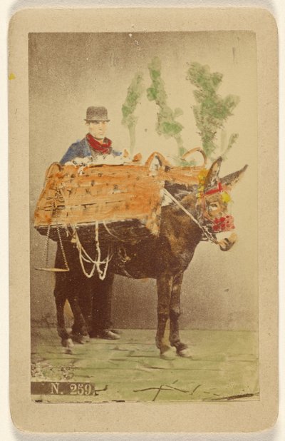 Unidentified Man with Mule Carrying Baskets of Food by Marittima