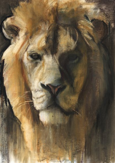 Asiatic Lion by Mark Adlington