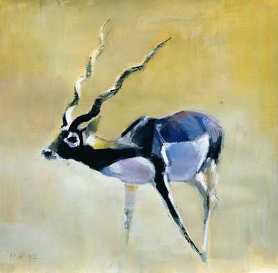 Black Buck, Velavadar, 1997 by Mark Adlington
