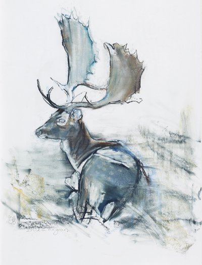 Buck in the Grass, 2006 by Mark Adlington
