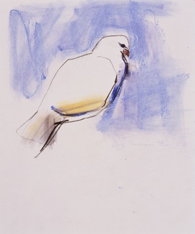 Dove, Trasierra, 1998 by Mark Adlington