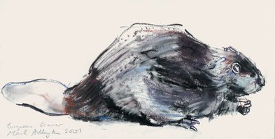 European Beaver (Study) 2001 by Mark Adlington