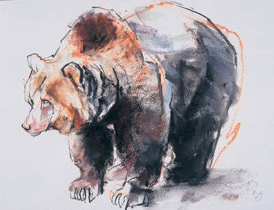 European Brown Bear, 2001 by Mark Adlington