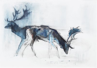 Fallow Bucks, Richmond by Mark Adlington