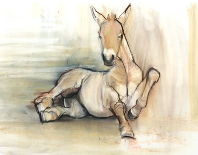 Foal, 2012 by Mark Adlington
