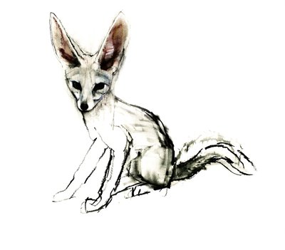 Foxy (Sand Fox), 2009 by Mark Adlington