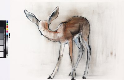 Gazelle Fawn (Arabian Gazelle) 2010 by Mark Adlington