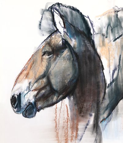 Head Study, Przewalski (detail) by Mark Adlington