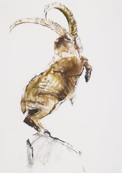 King of the Mountain by Mark Adlington