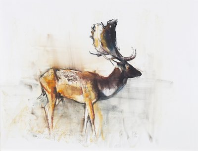 Magnificent Fallow Buck, 2006 by Mark Adlington