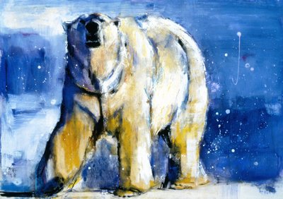 Northern Lights, 1998 by Mark Adlington