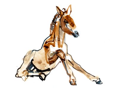 Ochre Foal (Przewalski), 2013 by Mark Adlington