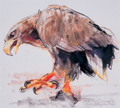 Raptor, 2001 by Mark Adlington