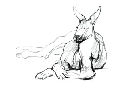 Resting Athlete (Red Kangaroo), 2012 by Mark Adlington