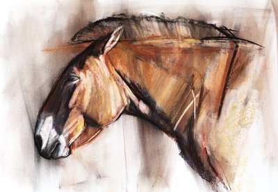 Resting Horse by Mark Adlington