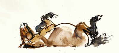 Rolling Horse (Przewalski) by Mark Adlington
