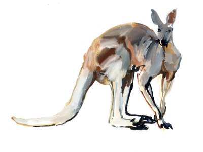 Roo (Red Kangaroo), 2012 by Mark Adlington