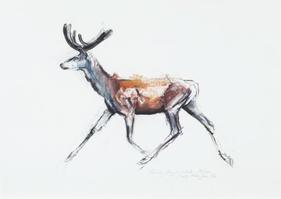 Running Stag in velvet, Polsen by Mark Adlington