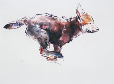Running wolf pup by Mark Adlington