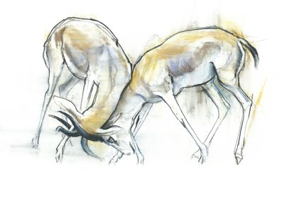 Sand Gazelles by Mark Adlington