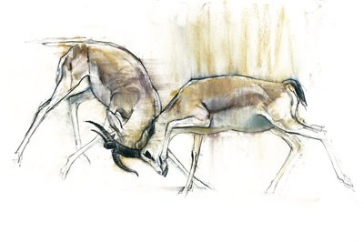 Sand Gazelles, 2009 by Mark Adlington