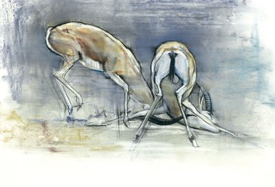 Sand Gazelles by Mark Adlington
