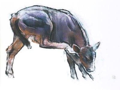 Scratching Calf, 2006 by Mark Adlington